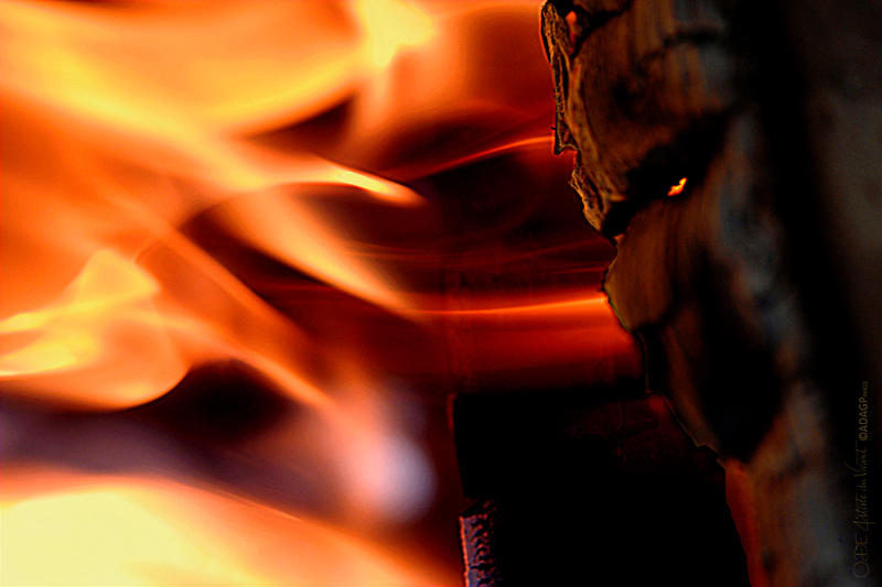 ODE Artiste du Vivant Opale de FEU